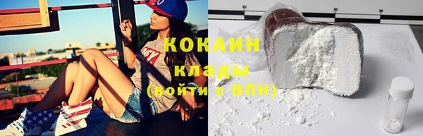 бошки Горняк