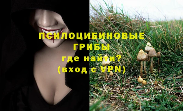 трава Горнозаводск
