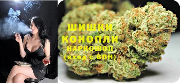 2c-b Тайга