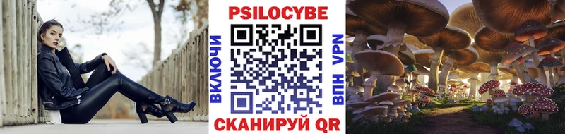 Псилоцибиновые грибы MAGIC MUSHROOMS  где продают наркотики  Ишимбай 