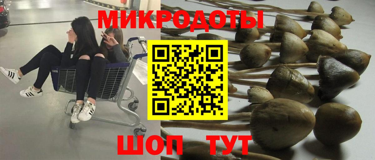 Ишимбай  Псилоцибиновые грибы GOLDEN TEACHER  Вход с VPN 